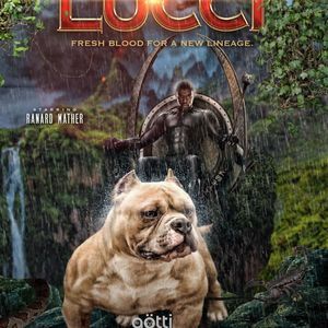 Meet your Posher, Ranard